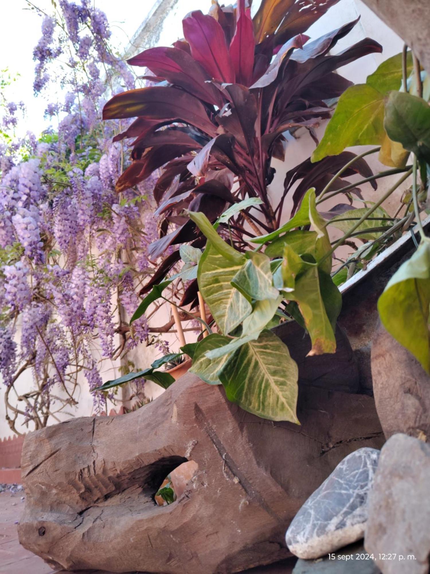 Casa Kuyay San Salvador de Jujuy Exterior foto