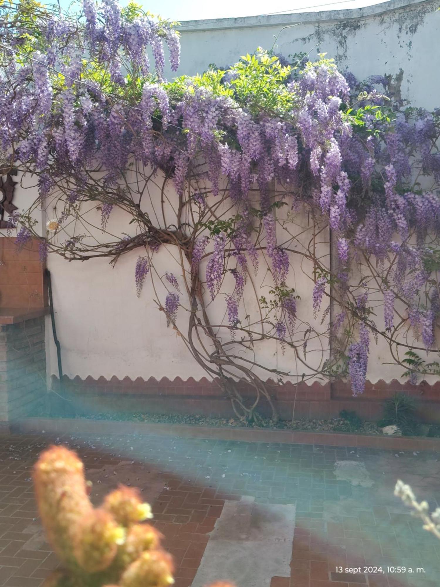 Casa Kuyay San Salvador de Jujuy Exterior foto